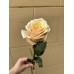 Роза Биллини 70 см