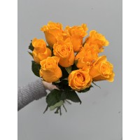 Роза Палмарес 70 см Роза Палмарес 70 см